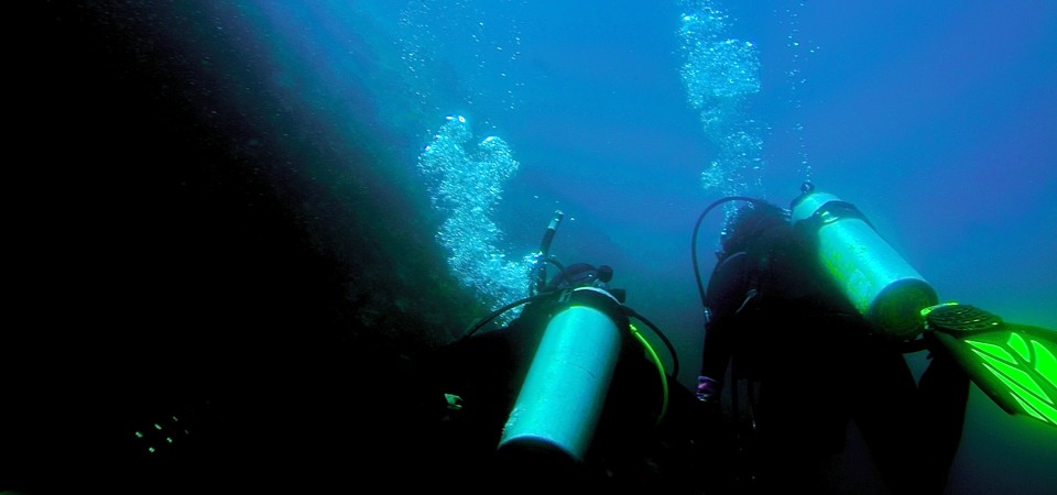 footer Cathedral Cove Dive & Snorkel Hahei NZ