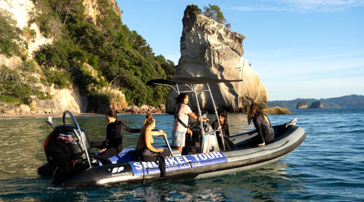 Cathedral Cove Dive & Snorkel Hahei NZ