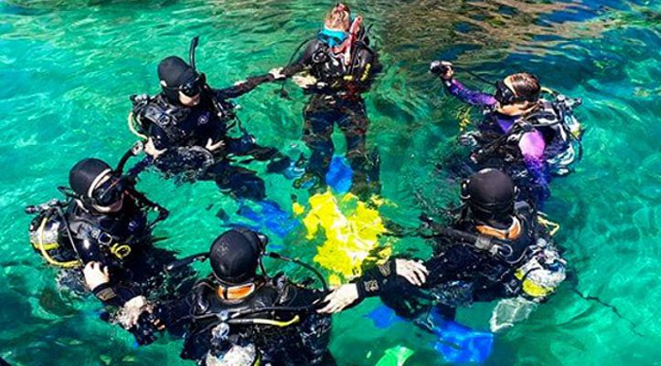 Cathedral Cove Dive & Snorkel Hahei NZ