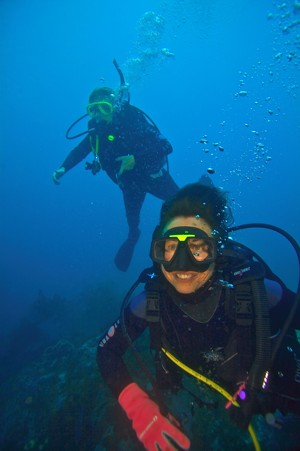 PADI Dive Mater Course / Internship / Pro